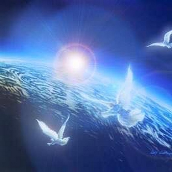 Meet your Posher, Dorian - Picture 1 of 1